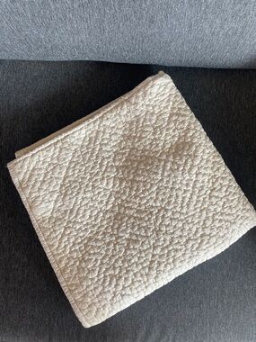 Eileen Fisher Garnet Hill silk sham pillowcase cushion 25 x 25 cream continental